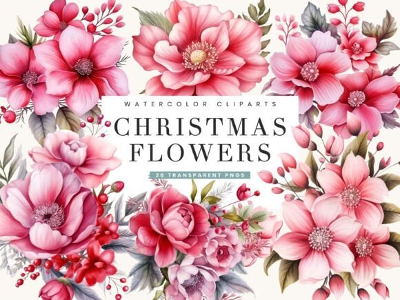 Pink Christmas Flowers Clipart Bundle for Illustrations